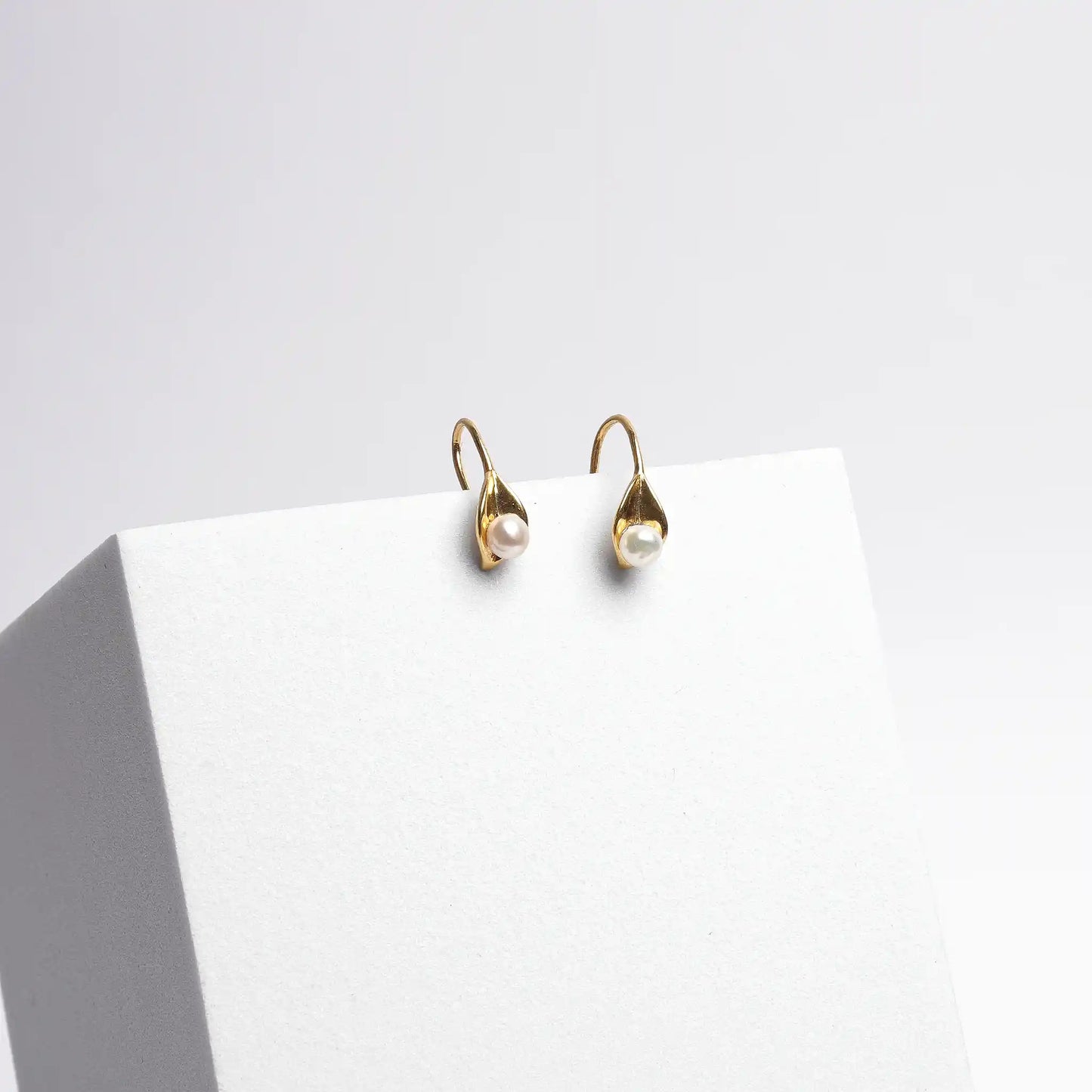 Golden Arc Earrings
