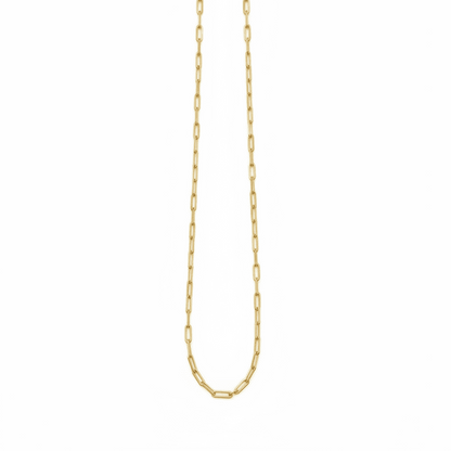 Auric Paperlink Chain